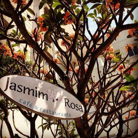 Jasmim Rosa